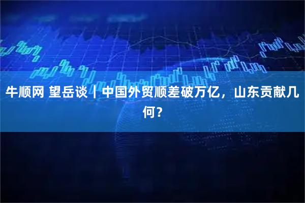 牛顺网 望岳谈｜中国外贸顺差破万亿，山东贡献几何？